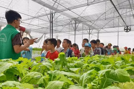 Agritourism expected to bring double benefits to Hanoi