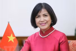 Vietnam wants to continue boosting trade ties with Myanmar: Ambassador