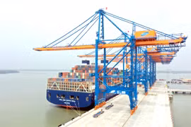 Shipping industry needs State support to develop: ministry