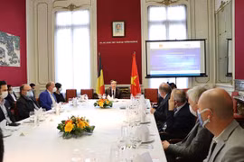 Belgium, Vietnam see growing multifaceted cooperation: Belgian politician 