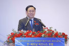 Top legislators of Vietnam, RoK attend business forum