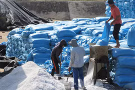 Vietnam salt company’s IPO surpasses plan