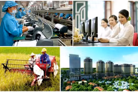 Innovating growth model urged for post-pandemic recovery