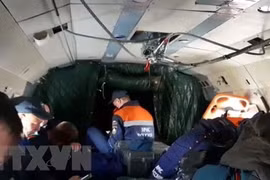 Vietnamese President extends condolences to Russian counterpart over plane crash