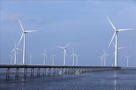 Vietnam sees fastest rise in solar, wind power rate in national electricity structure in 2020: Research