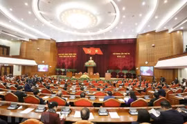 13th National Party Congress brings confidence: Singaporean-Vietnamese professor