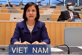 Vietnam highlights attainments in children, PWDs’ rights promotion