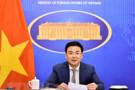 Vietnam further promotes multifaceted cooperation with African countries
