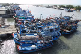 Ben Tre working to combat IUU fishing
