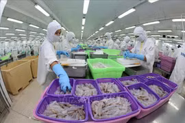Vietnam to become world’s key shrimp producer 