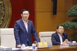 Parliamentary diplomacy helps raise Vietnam’s stature in int'l arena: NA leader