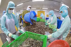 Vietnam ranks fifth among aquatic product exporters of Japan