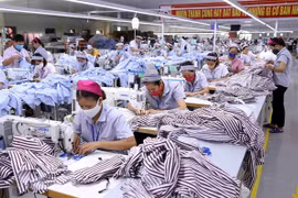 Vietnam shares economic development experience with Venezuela