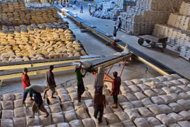 Vietnam ships 638,000 tonnes of rice abroad in Jan-Feb