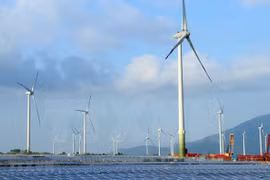 Green hydrogen development associated with offshore wind power, experts say