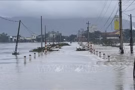 Vietnam can learn from Brussels' flood prevention experience: expert