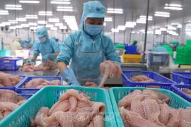 Target for agro-forestry-fishery export value revised up to 45 billion USD