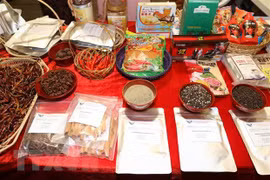 Vietnamese farm produce introduced at chili fest in Italy