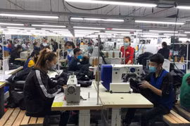 FDI firms in Thanh Hoa hiring tens of thousands despite COVID-19