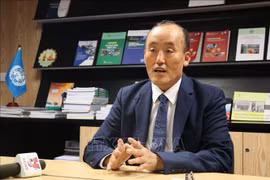 WHO Representative: Extensive vaccination of children helps reduce disease burden