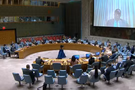 Vietnam hails recent developments in Somalia 