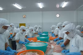 Tra fish exports expected to continue recovering
