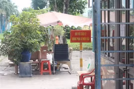 HCM City's police request prosecution of flight attendant for spreading COVID-19