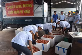 Measures put in place to bolster agricultural product exports