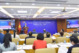 Vietnam-Singapore Friendship Association convenes second congress