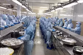 Agro-forestry-fisheries sector enjoys trade surplus of 3.3 billion USD in eight months