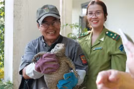 Three central localities see wildlife violation reduction
