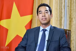Vietnam, UK work to raise effectiveness of key cooperative mechanisms