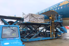 Vietnam Airlines transports COVID-19 vaccine home from Europe