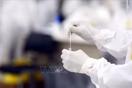 Vietnam records 97 new cases of COVID-19