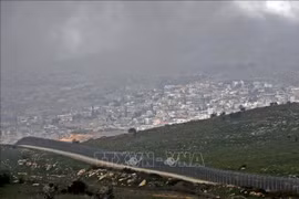 Vietnam affirms consistent viewpoint on Golan Heights situation