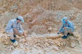 Quang Tri: Big bomb in residential area safely handled