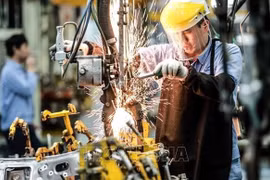Vietnam considered in good position to attract FDI: UK-based website