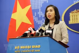 Vietnam advocates rule-of-law principle on seas and oceans: Spokesperson