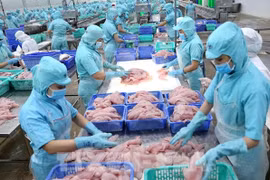 Report on impact of IUU yellow card on Vietnam’s seafood industry released