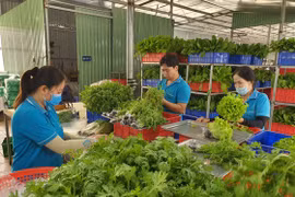 Agricultural cooperatives benefit hugely from investment in technology: experts
