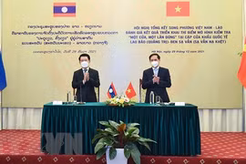 Vietnam, Laos review one-stop-shop inspection model at border gate