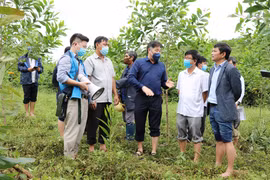 Ministry targets 20 percent rise in planted trees in 2022