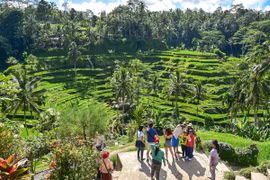 Indonesia: Tourism continues suffering in January