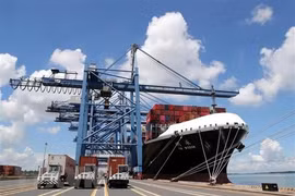 Shipping lines continue to increase fees, firms face more difficulties