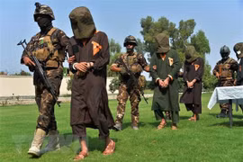 Vietnam backs UN’s investigation into IS crimes in Iraq