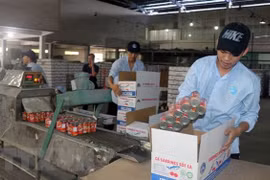 US attractive to Vietnamese exporters