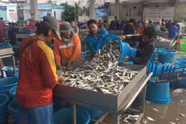 Thailand to vaccinate foreign workers against COVID-19
