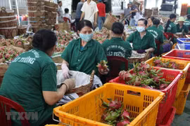 Tien Giang eyes 3.25 billion USD in 2021 export revenue