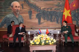 Vietnam forges defence ties with foreign countries 