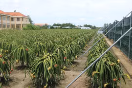 Australia – a potential market for Vietnamese organic agricultural products 